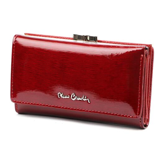Pierre Cardin 05 LINE 108 24