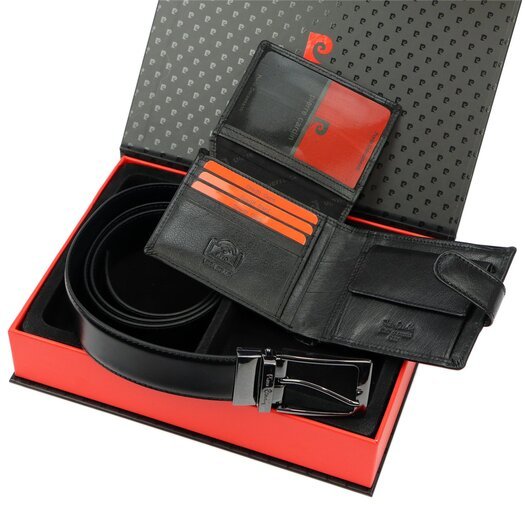 Dovanų komplektas vyrams Pierre Cardin ZG-136-BR 10