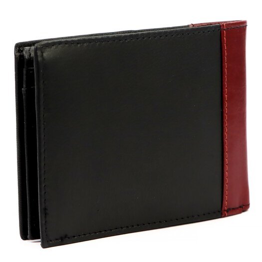 Pierre Cardin TILAK30 8806 15