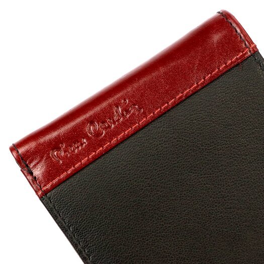 Pierre Cardin TILAK30 8806 17