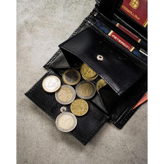 Peterson PTN N4-NGV 6