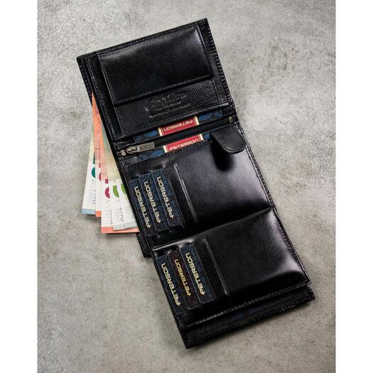 Peterson PTN N4-NGV 4