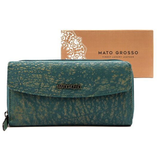 Mato Grosso 0635-30 RFID 1