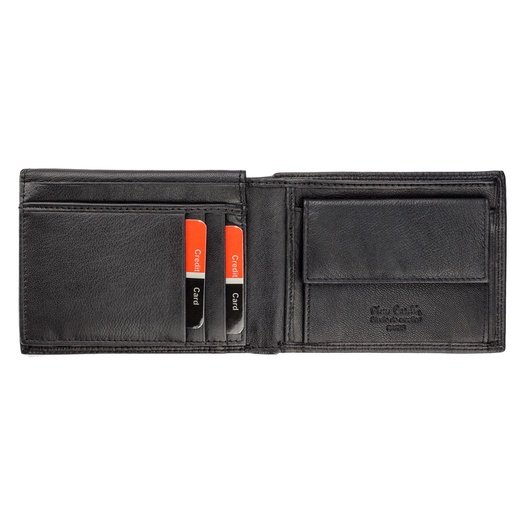 Pierre Cardin TILAK43 8806
