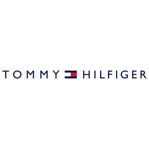 LAIKRODIS VYRAMS TOMMY HILFIGER BAKER (zf043b)