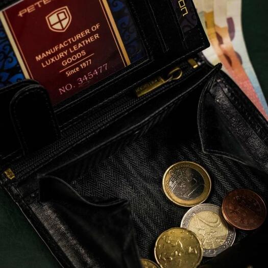 Piniginė vyrams Peterson PTN N62-VT 8