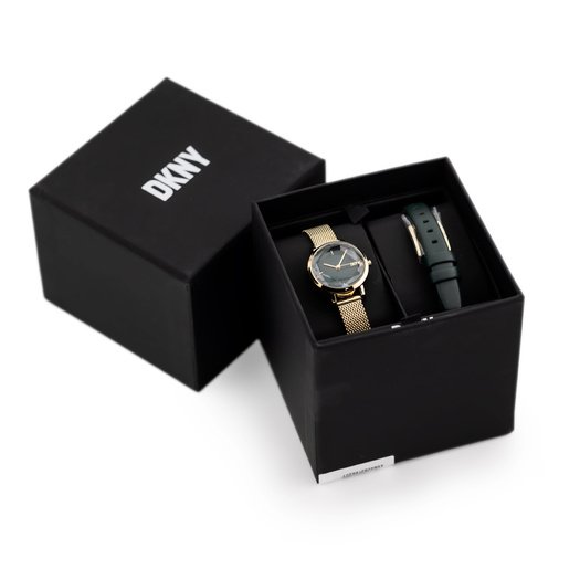 Laikrodis moterims DKNY NY6631 SOHO