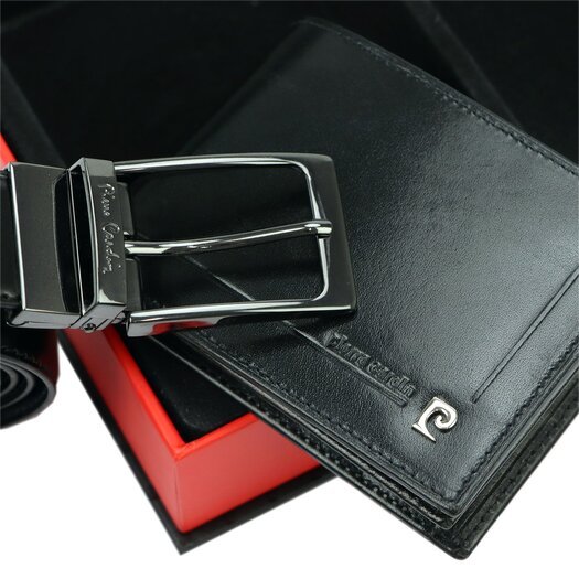 Pierre Cardin ZG-137-BR