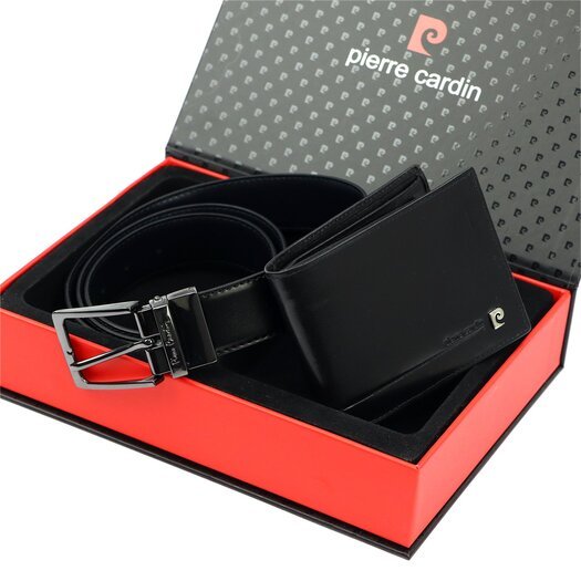 Pierre Cardin ZG-137-BR