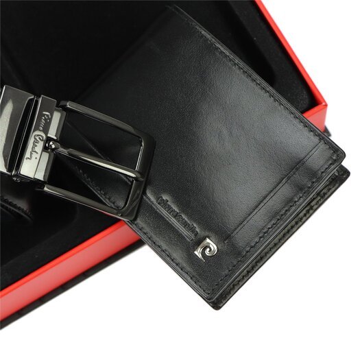 Pierre Cardin ZG-137-BR