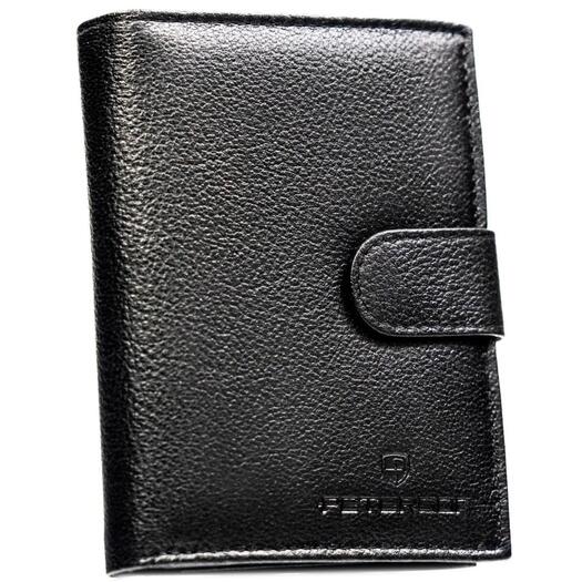 Peterson PTN N4L-SPDM 2