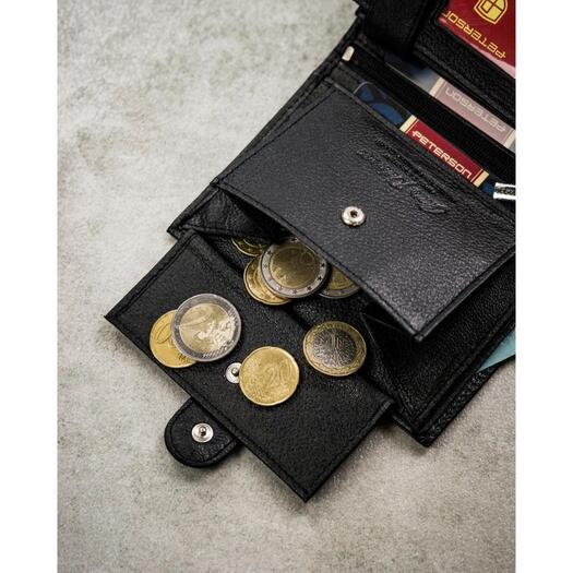 Peterson PTN N4L-SPDM 6