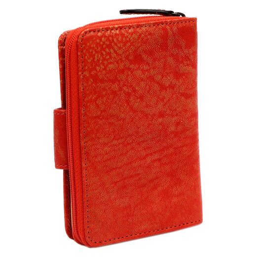 Mato Grosso 0745-50 RFID 3