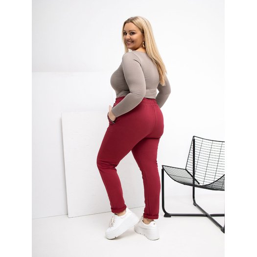 Spodnie dresowe-RV-DR-4765.52-bordowy 2