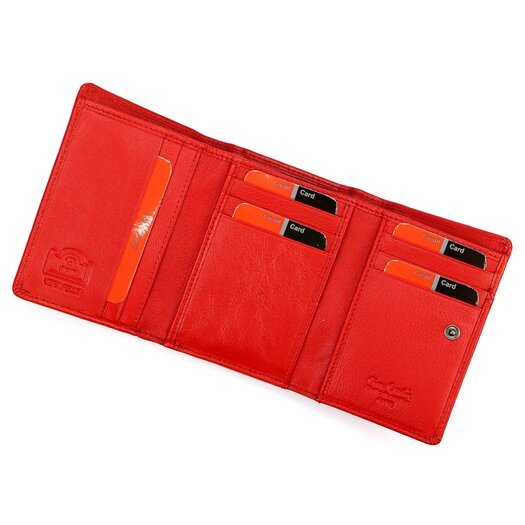 Pierre Cardin TILAK161 2585 6