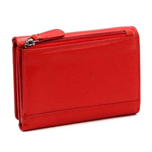 Pierre Cardin TILAK161 2585 4