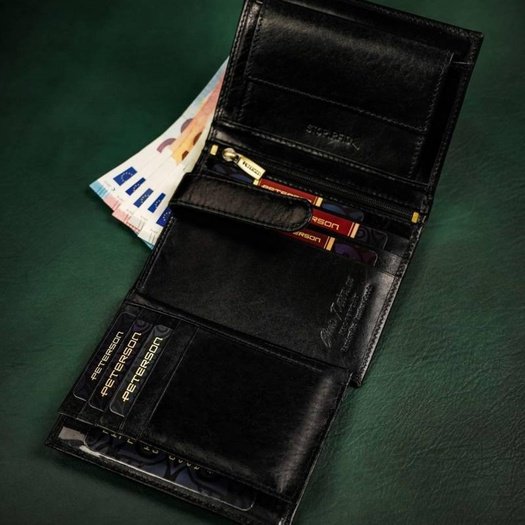 Peterson PTN N104-VT