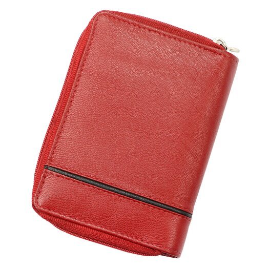  Piniginė moterims Albatross GN LW-S06 PIPE 2