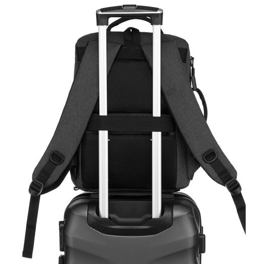 Peterson PTN 77706 3