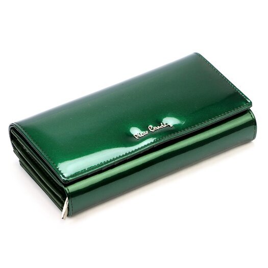 Pierre Cardin 07 SHINY 121