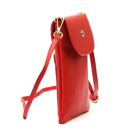 Gregorio 1747 DOLLARO 21