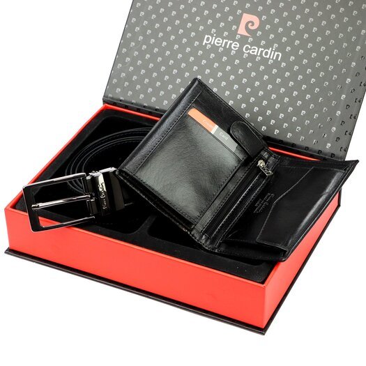 Pierre Cardin ZG-138-BR