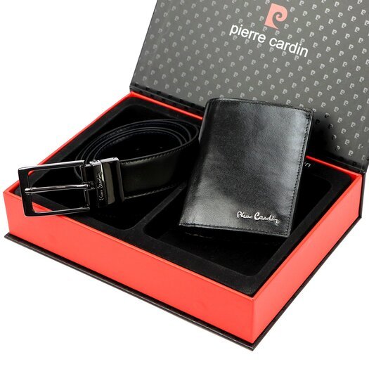 Pierre Cardin ZG-138-BR