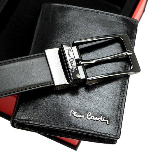 Pierre Cardin ZG-138-BR