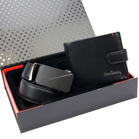 Kinkekomplekt meestele Pierre Cardin ZG-203-BA