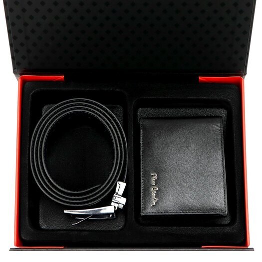 Pierre Cardin ZG-213-BR 3