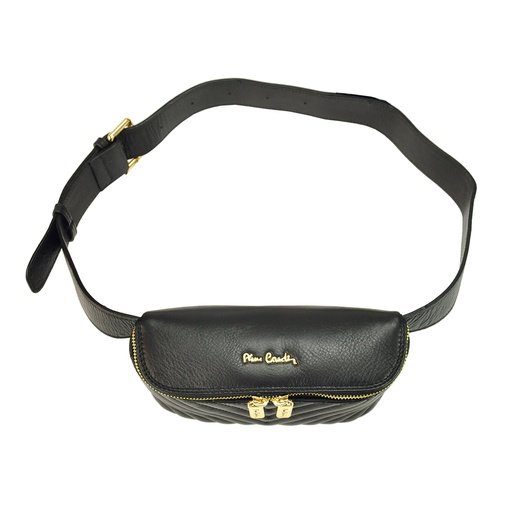 Pierre Cardin FRZ 1660 SAVAGE