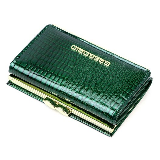 Women’s Wallet Gregorio SLL-117