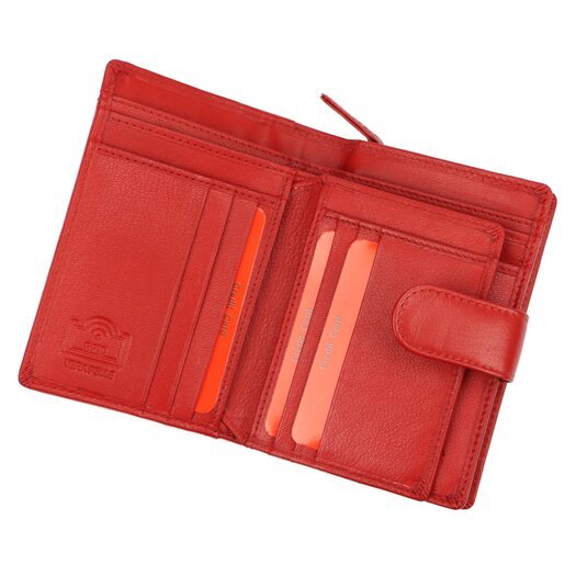 Pierre Cardin TILAK161 2571 6