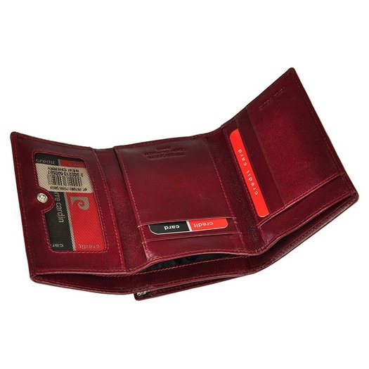 Pierre Cardin YS520.1 355