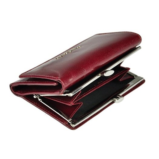 Pierre Cardin YS520.1 355