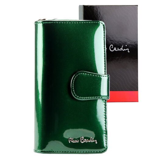 Pierre Cardin 07 SHINY 116 1