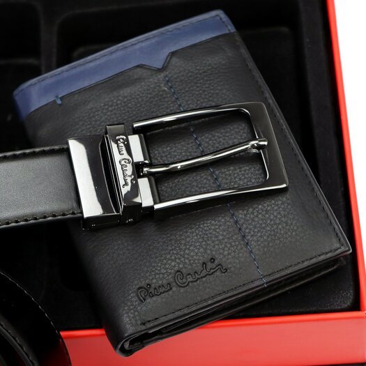 Pierre Cardin ZG-139-BR