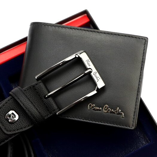 Pierre Cardin ZG-E-02 3