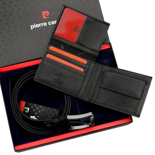 Pierre Cardin ZG-E-02 4