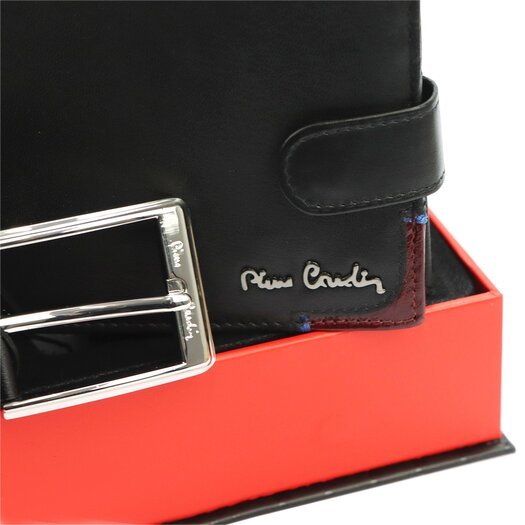 Dovanų komplektas vyrams Pierre Cardin ZG-108-BR F 4