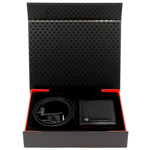 Pierre Cardin ZG-214-BR 2