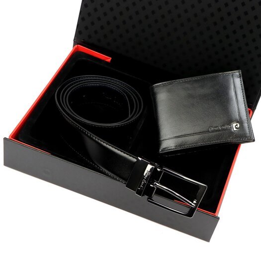 Pierre Cardin ZG-214-BR 1