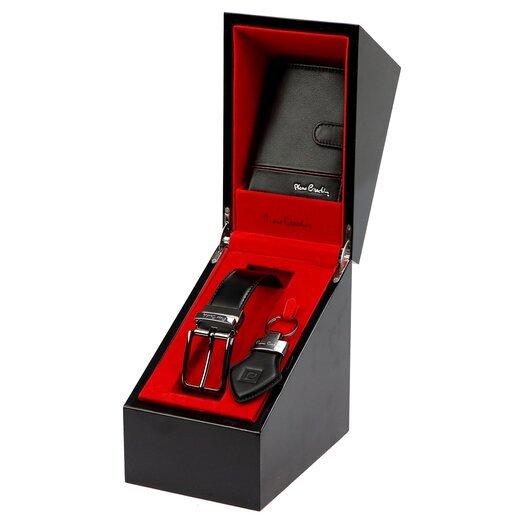 Pierre Cardin ZG-217 PREMIUM VIP 1