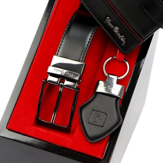 Pierre Cardin ZG-217 PREMIUM VIP 8