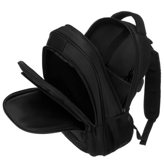 Peterson PTN BHX-02 6