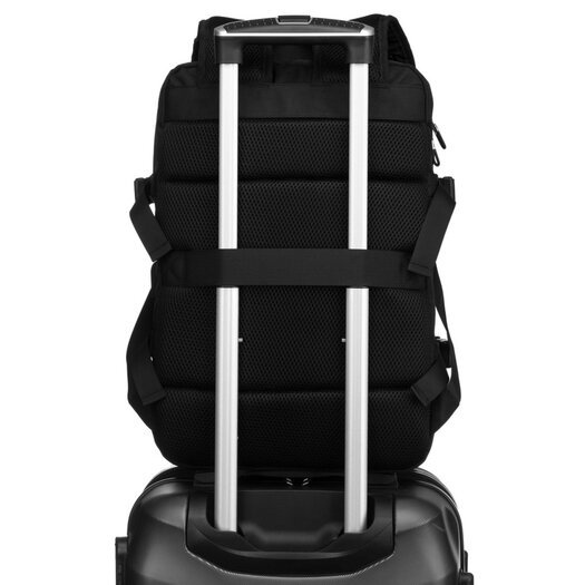 Peterson PTN 24421