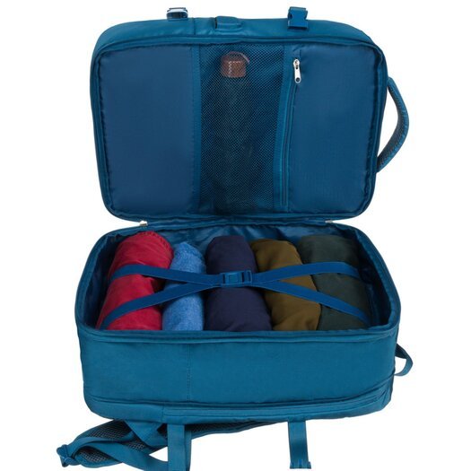Peterson PTN 24421 11