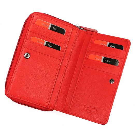 Pierre Cardin TILAK161 22036 3