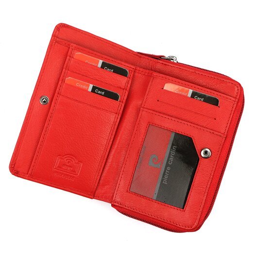Pierre Cardin TILAK161 22036 11