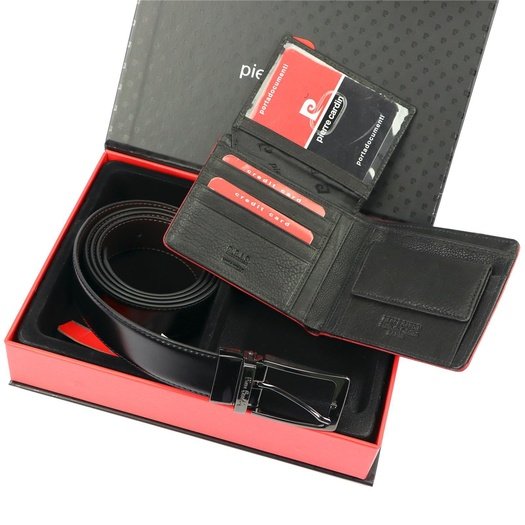 Pierre Cardin ZG-78-BR
